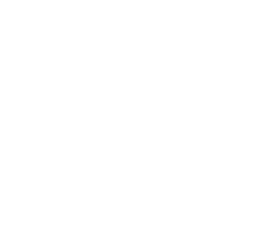 MIG Logo
